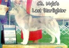 Photo of Myla’s Last Starfighter