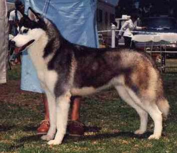 Photo of Kristari’s Erlene