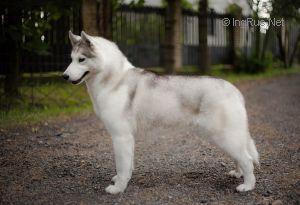 Photo of Viviyan