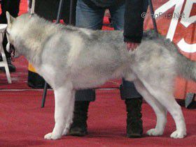 Photo of Limahl Fortunatus
