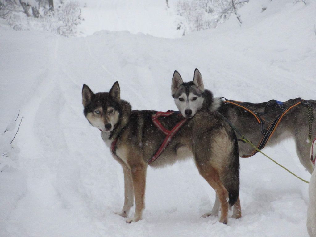 Photo of Ylajärvis BG Sandy