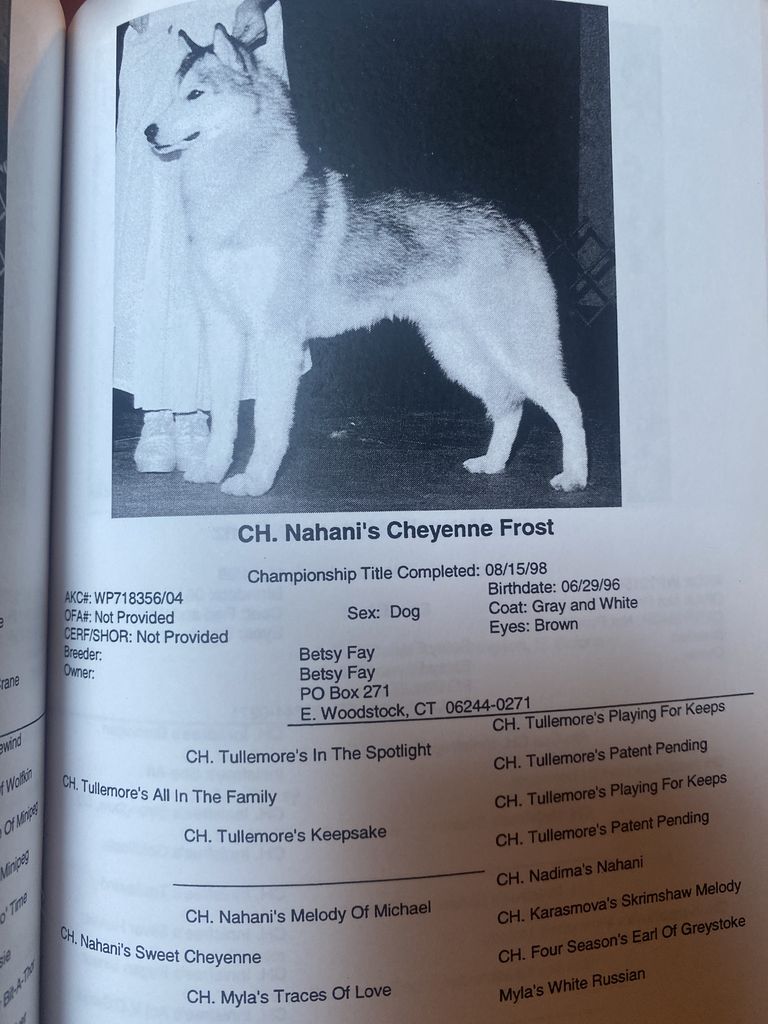 Photo of Nahani’s Cheyenne Frost