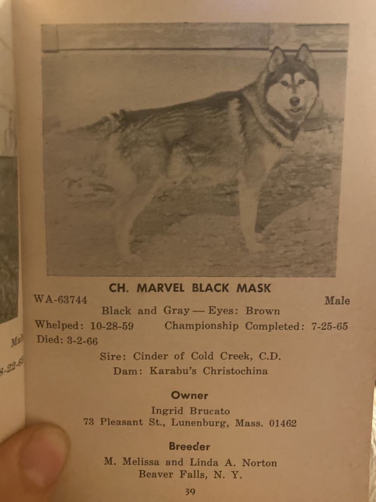 Photo of Marvel Black Mask