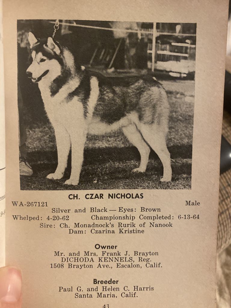 Photo of Czar Nicholas