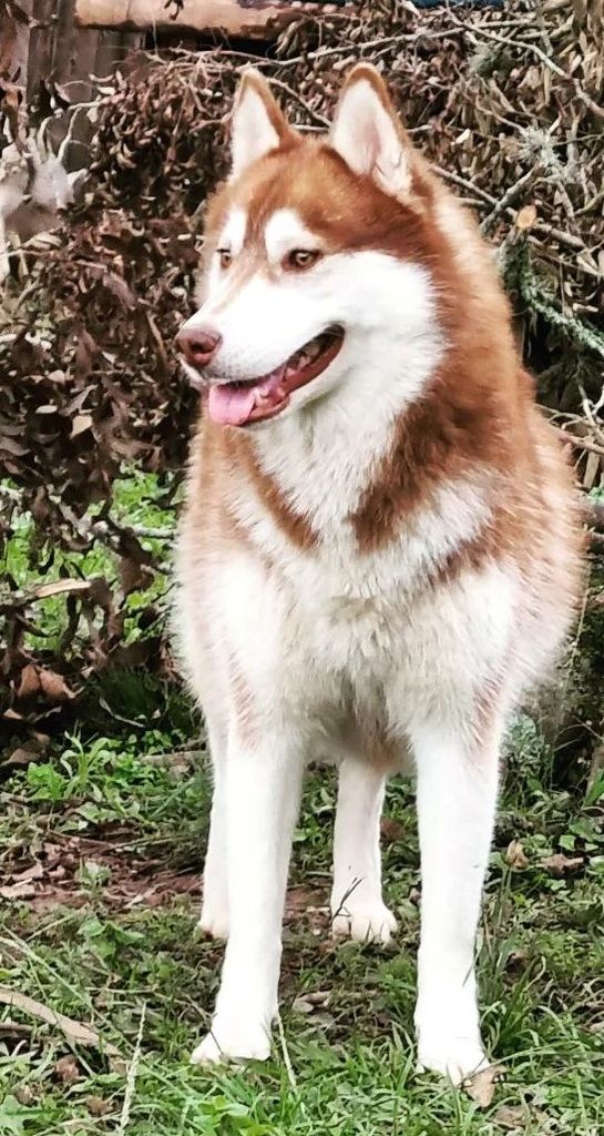 Photo of Leona do Patchyuri