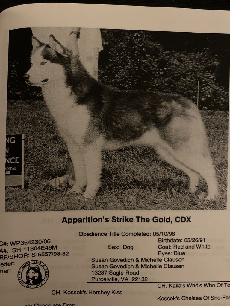 Photo of Apparitions Strike The Gold