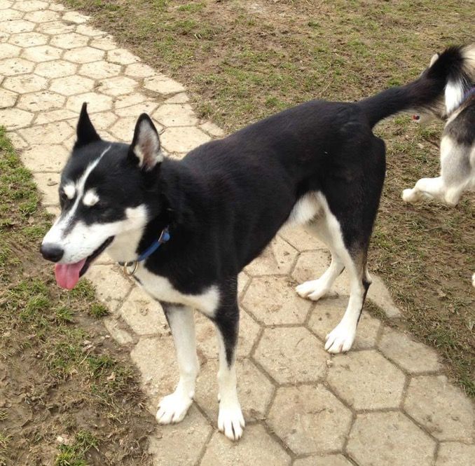 Photo of F’Mike Of Rain Mountain
