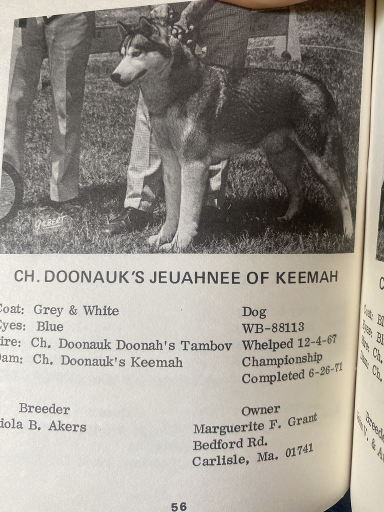 Photo of Doonauk’s Jeuahnee of Keemah