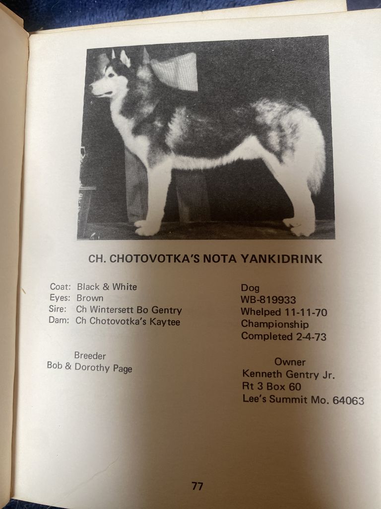 Photo of Chotovotka’s Nota Yankidrink