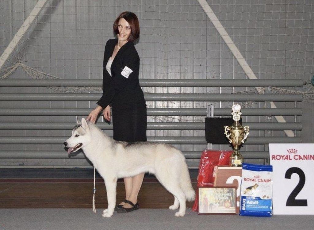 Photo of Raider Of Inner Vision