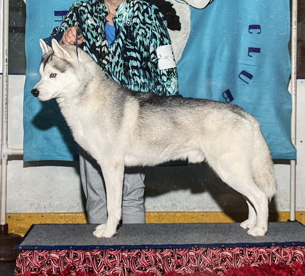 Photo of Bralin’s The One True King Of Highlander