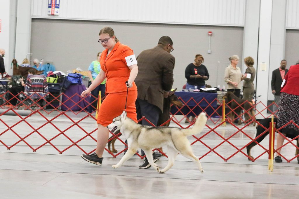 Photo of Brushfire's Kiss My Southern Sass