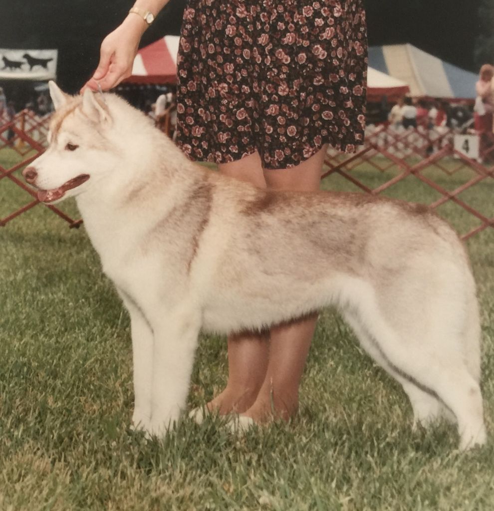 Photo of Bralin’s Devil In A Red Dress