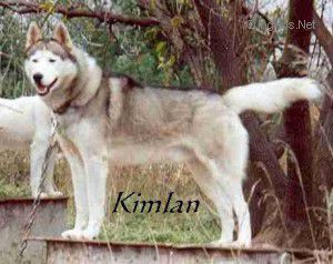 Photo of Kimlan’s Brisky