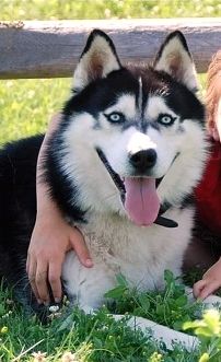 Photo of Kortar’s Kindred Knave