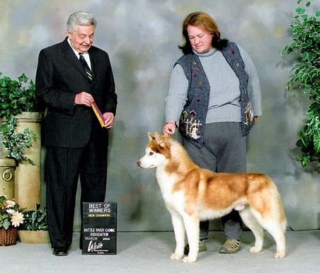 Photo of Arcticsun’s The Crimson King