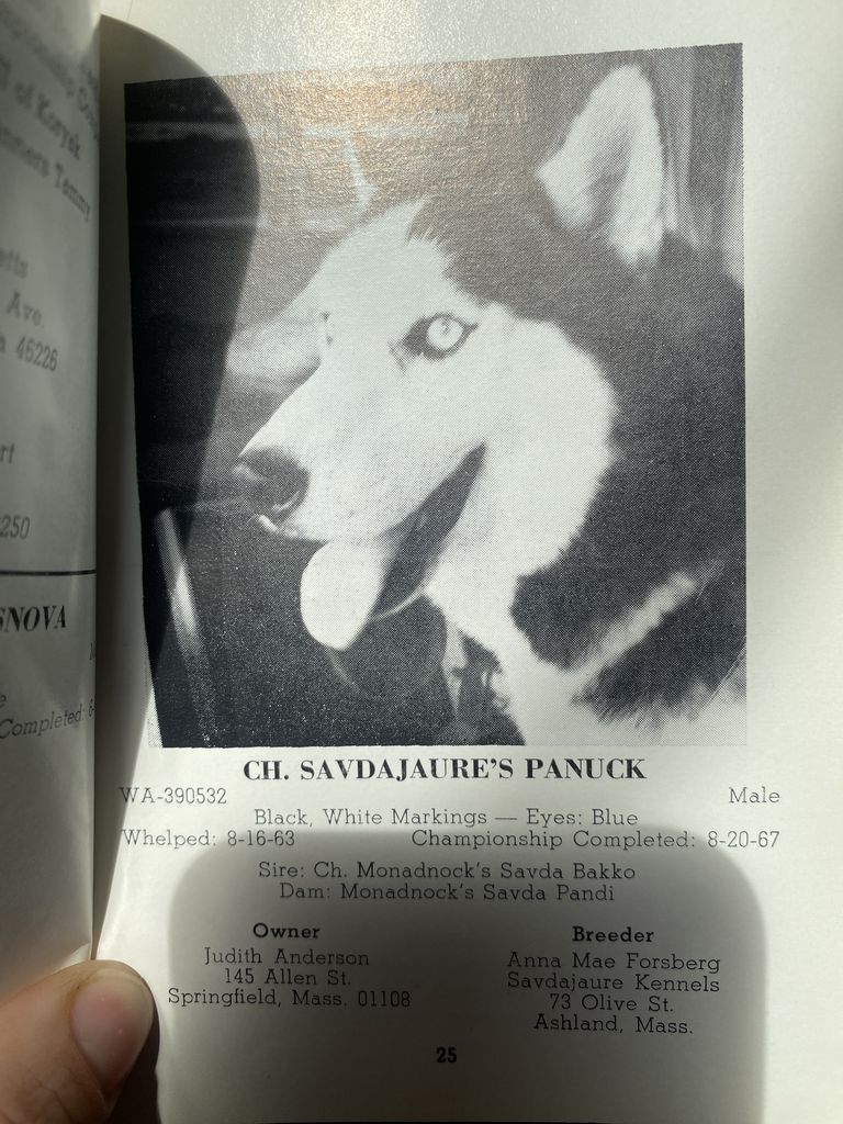 Photo of Savdajaure’s Panuck