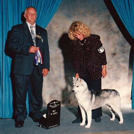Photo of Kortar’s Kamelot