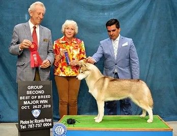 Photo of Mystic Winner Z’Howling With The Wolfs
