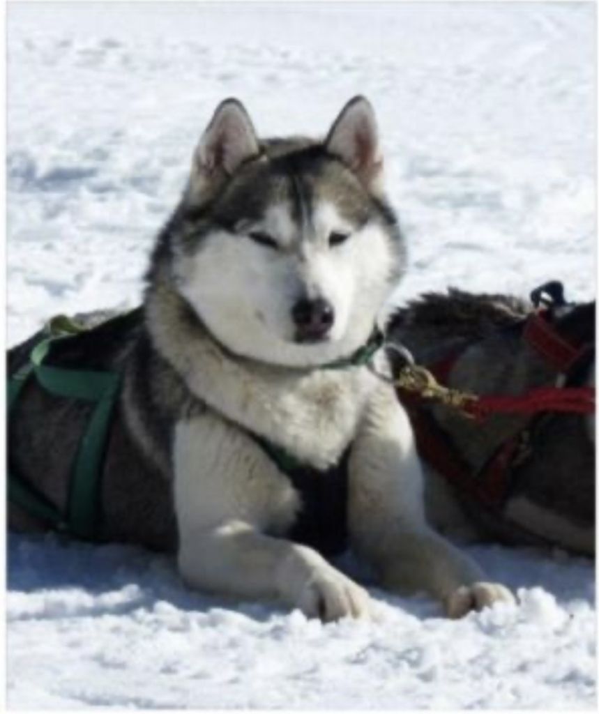 Photo of Jedeye Tettegouche of Manitou