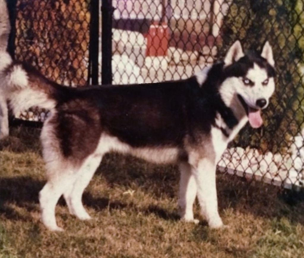 Photo of Talocon’s Muzak of Arctic Song