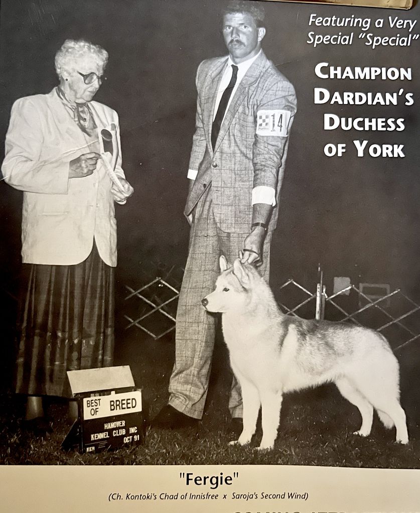 Photo of Dardian’s Duchess of York