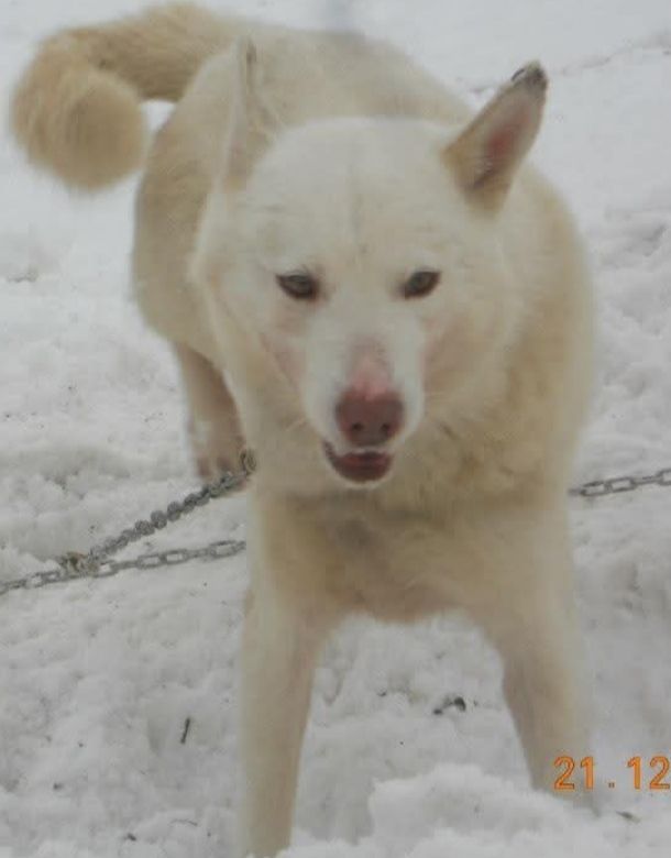 Photo of Sub Zero's A' Winnie