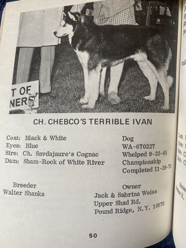 Photo of Chebco’s Terrible Ivan