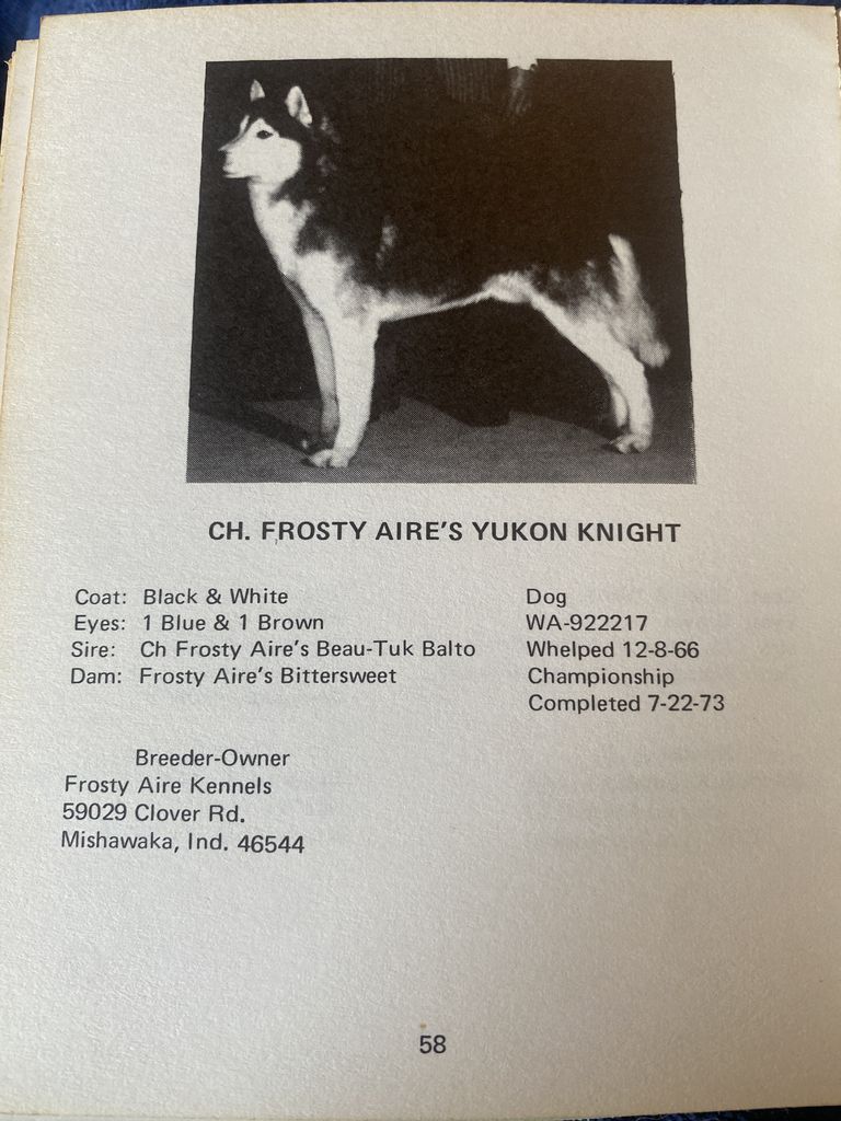 Photo of Frosty Aire’s Yukon Knight