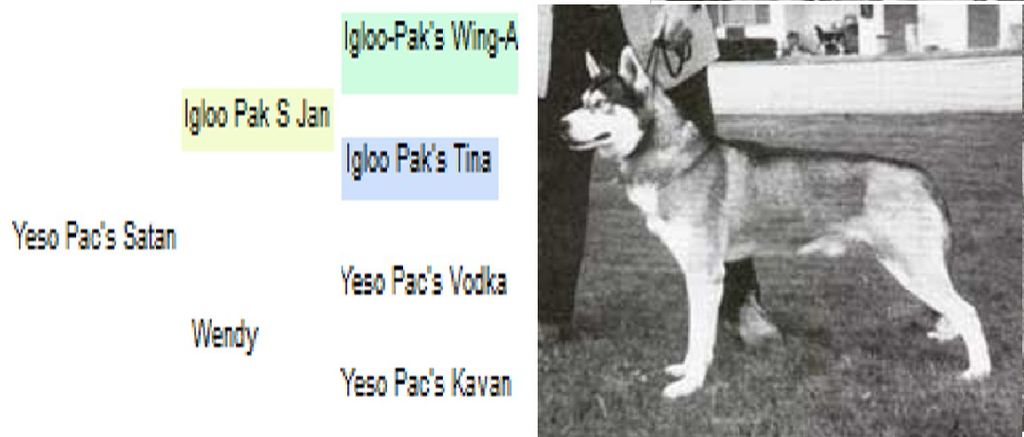 Photo of Yeso Pac’s Satan