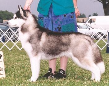 Photo of Bain’s Northern Limited Edition