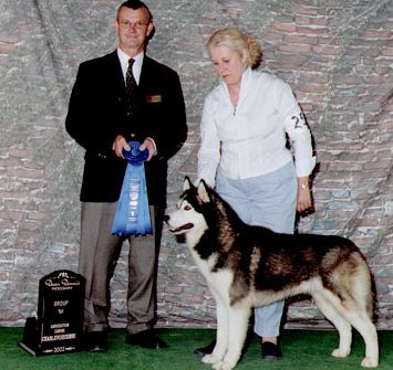 Photo of Kortar’s Dakota