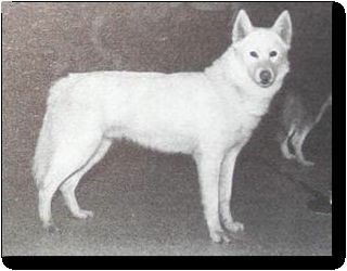 Photo of Chris Of Kolyma