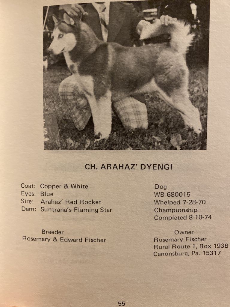 Photo of Arahaz’ Dyengi