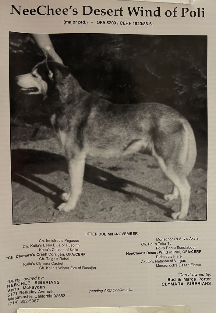 Photo of NeeChee’s Desert Wind Of Poli