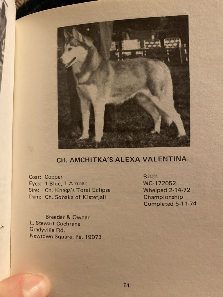 Photo of Amchitka’s Alexa Valentina