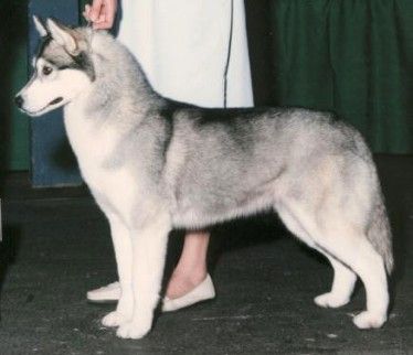 Photo of Huskavarna's Minimum Wage