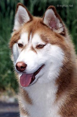 Photo of Next Winner Of Wolf Point