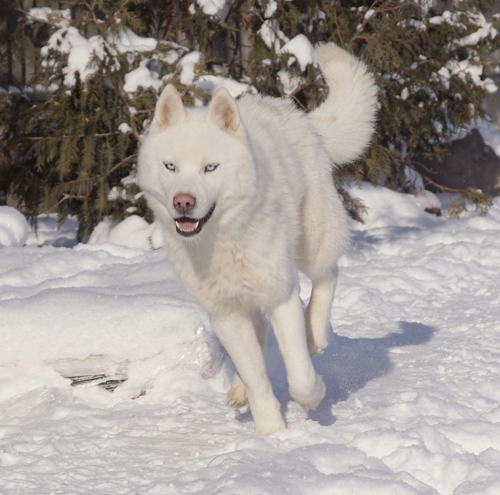 Photo of Polar Night Reality Star Boy