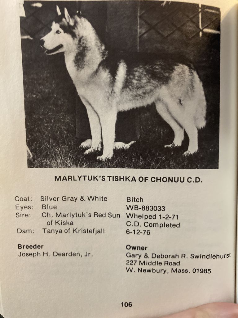 Photo of Marlytuk’s Tishka of Chonuu