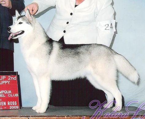 Photo of Kristari’s Call Me Irresistible