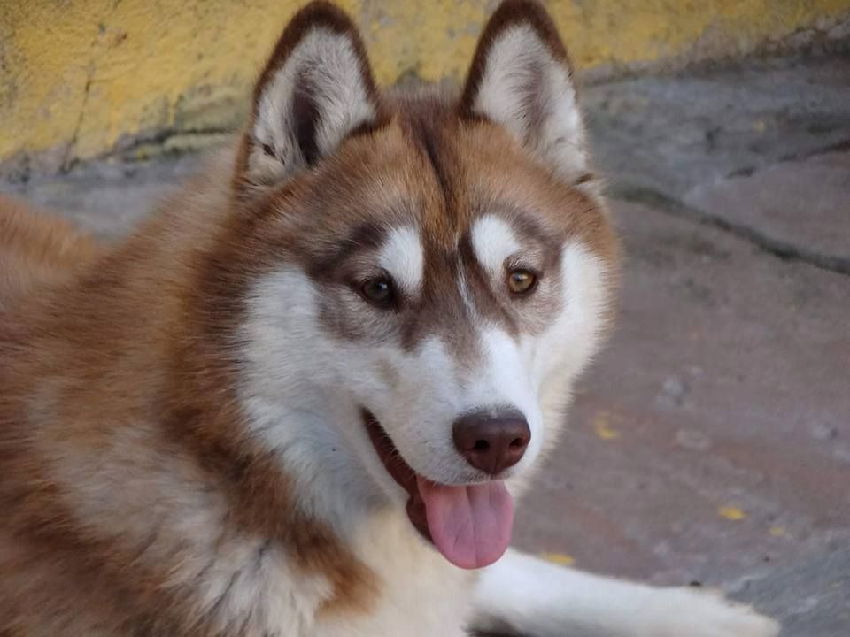 Photo of Natacha do Rancho da Pedra