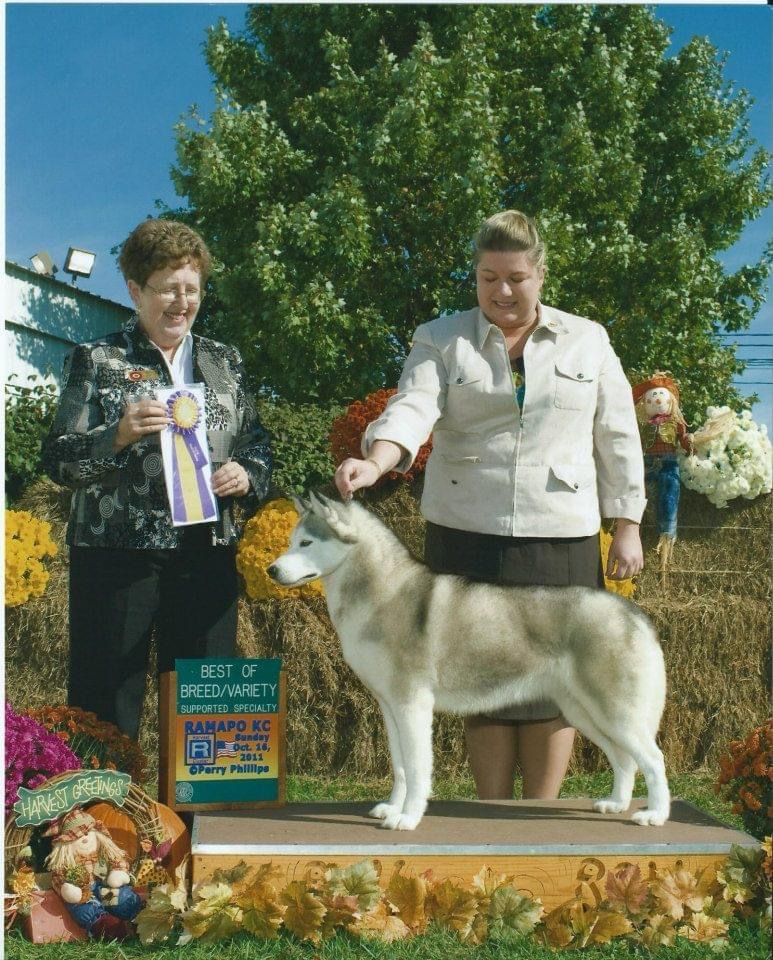 Photo of Snowfire’s Avon Calling