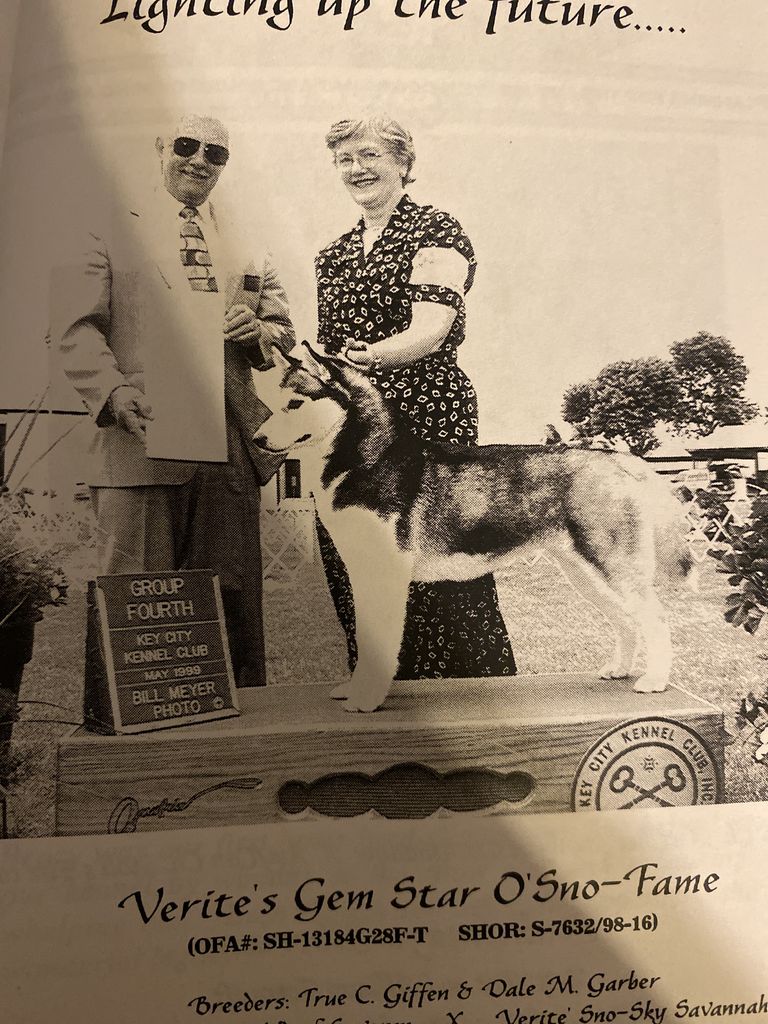 Photo of Verite’s Gem Star O’Sno-Fame