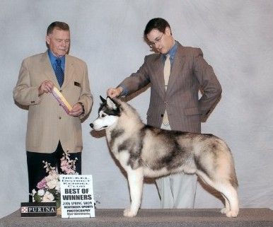 Photo of Innisfree Defense Attorney