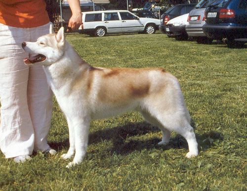 Photo of Winalmik's Rising Sun
