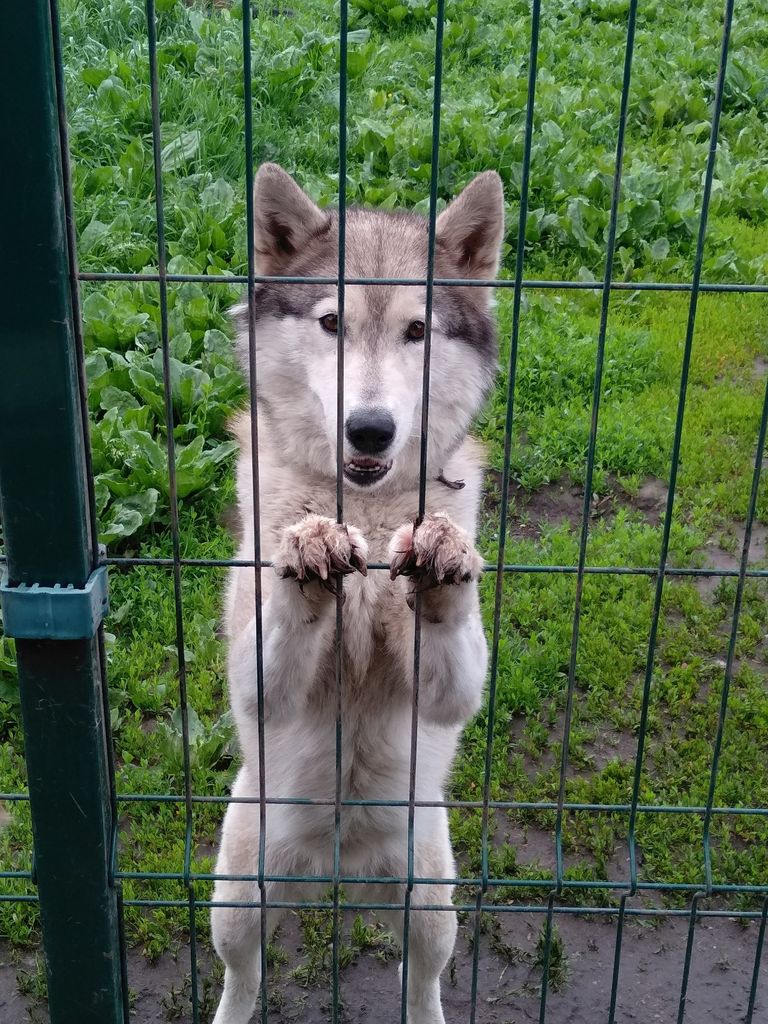 Photo of Vento Libero Zena Agel' Tereno