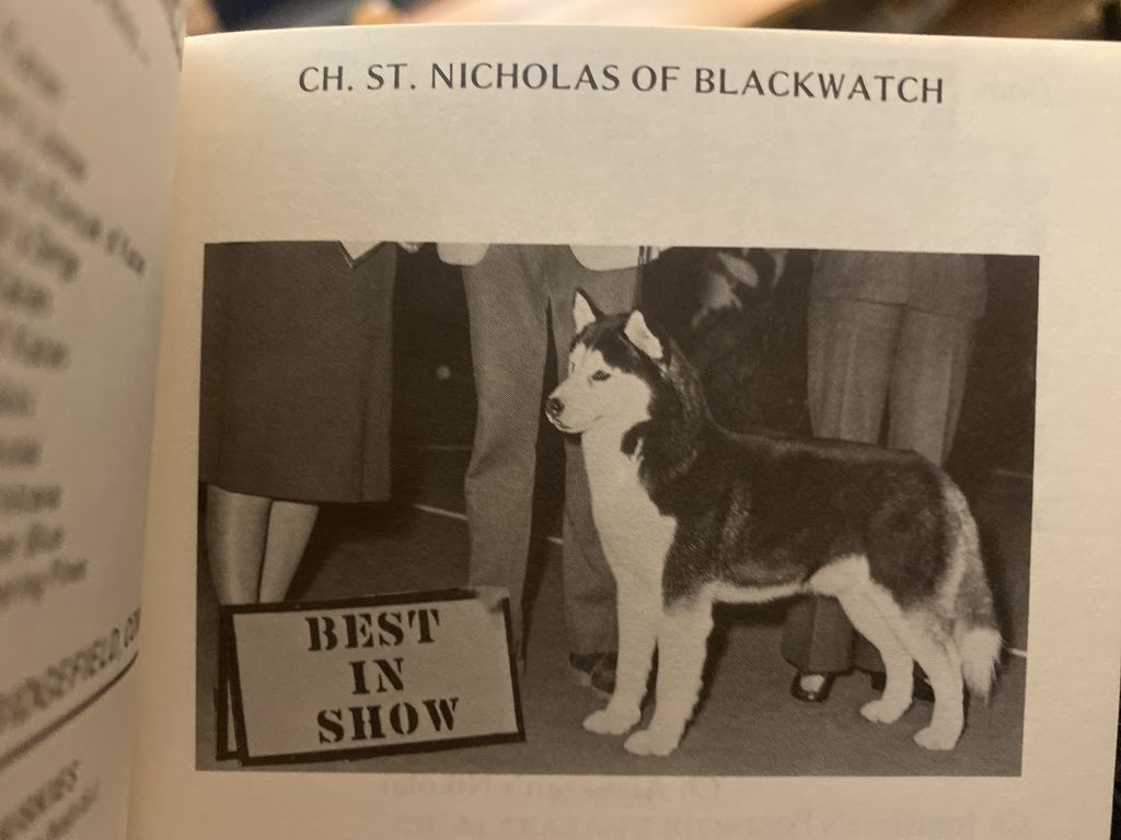 Photo of St. Nicholas Of Blackwatch
