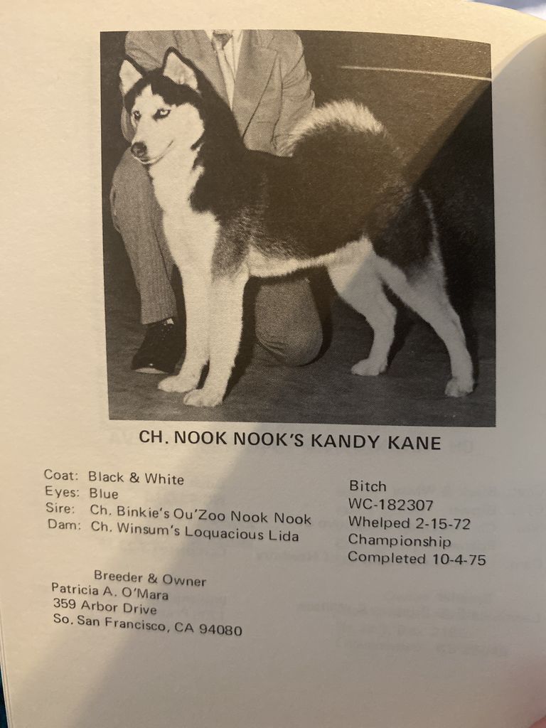 Photo of Nook Nook’s Kandy Kane