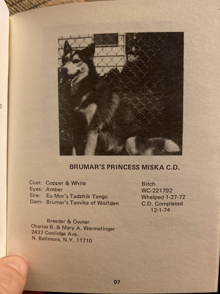 Photo of Brumar’s Princess Miska
